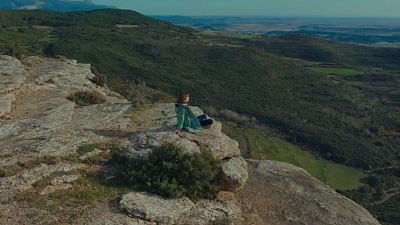 El mosaico verde del sur