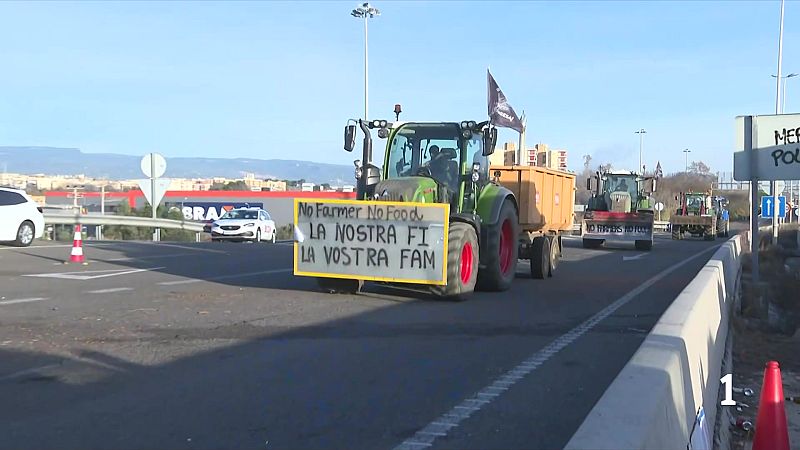 L'Informatiu - 12/01/2025