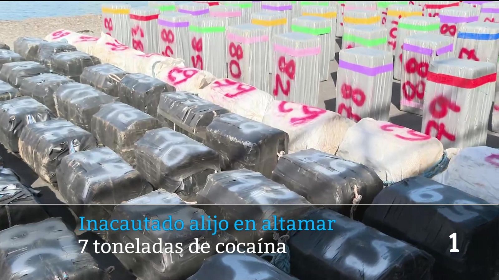 Canarias en 2' - 12/01/2026 | Ver