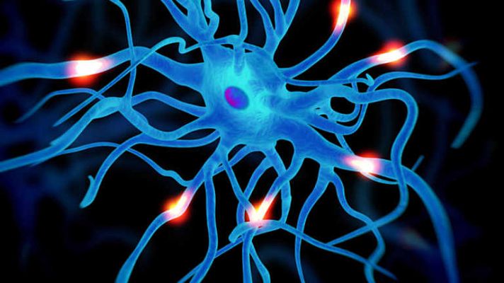 Documenta2 - El cerebro automático: El poder del inconsciente