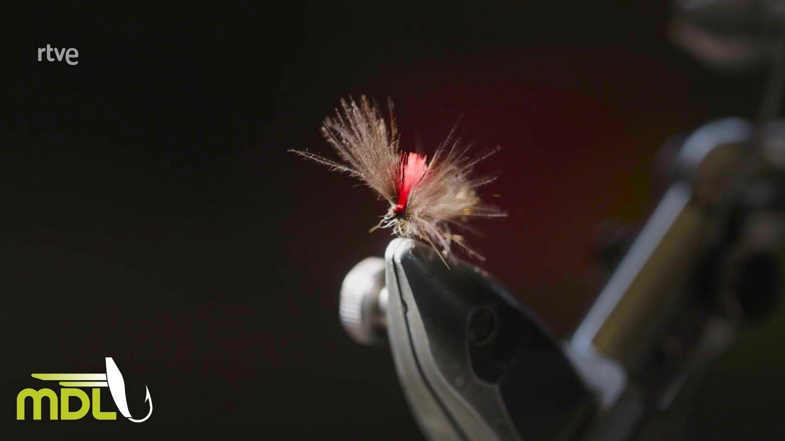 Moscas de León | Ver