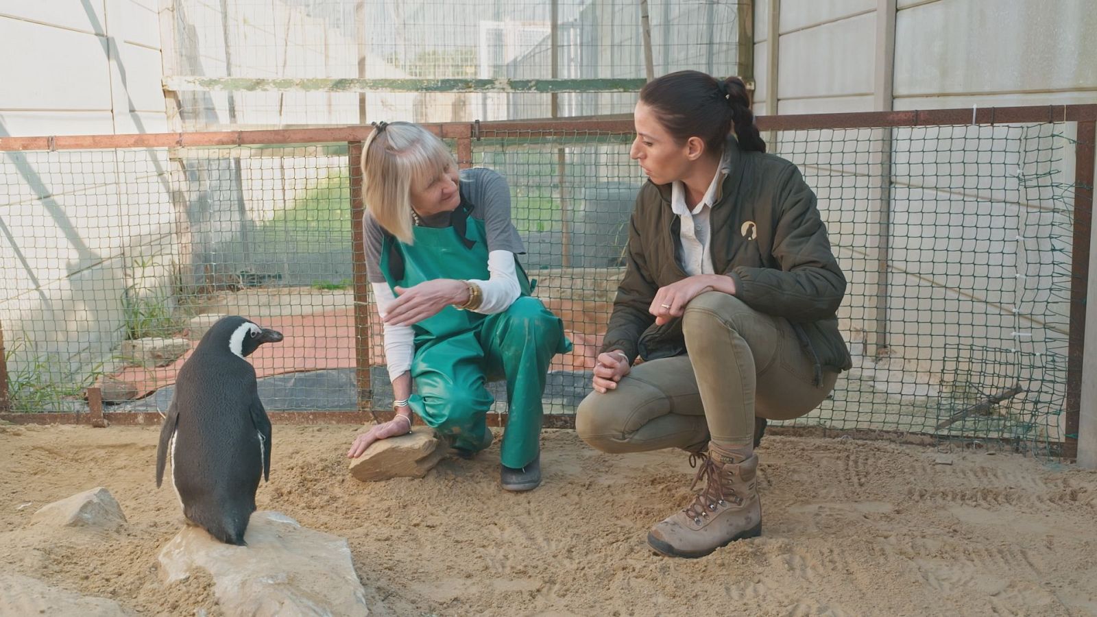 'Dra. Fabiola Jones' vuelve a La 1 con doble entrega