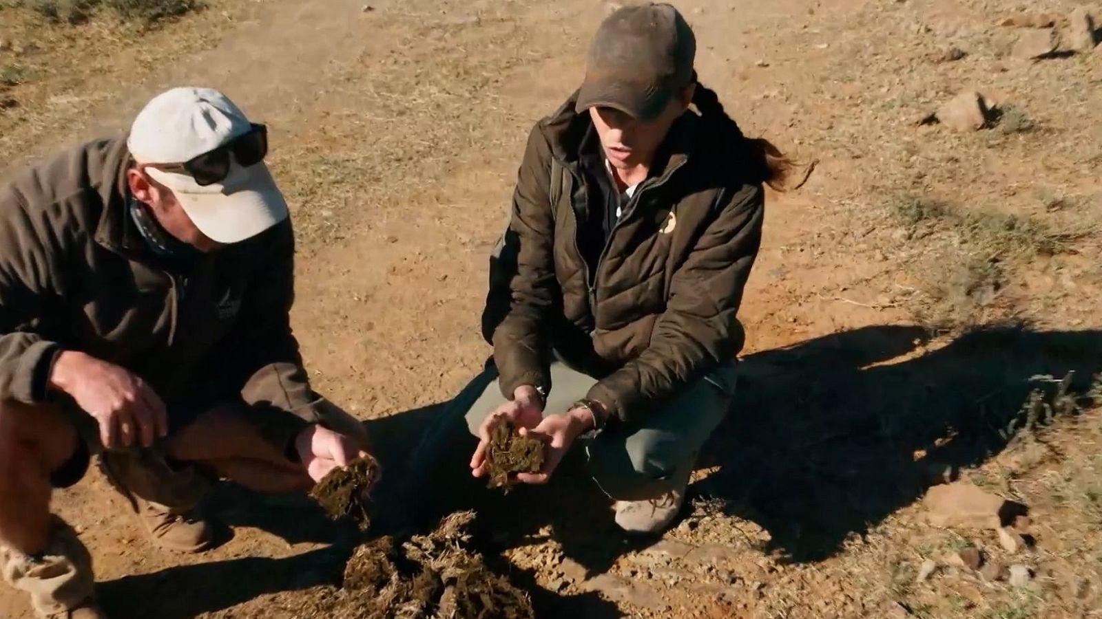 Buscar excrementos para investigar: así se estudia la salud de los rinocerontes | Ver