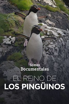 Somos Documentales - El reino de los pingüinos