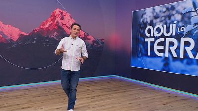 El Zoo, fusteria i aliments fermentats