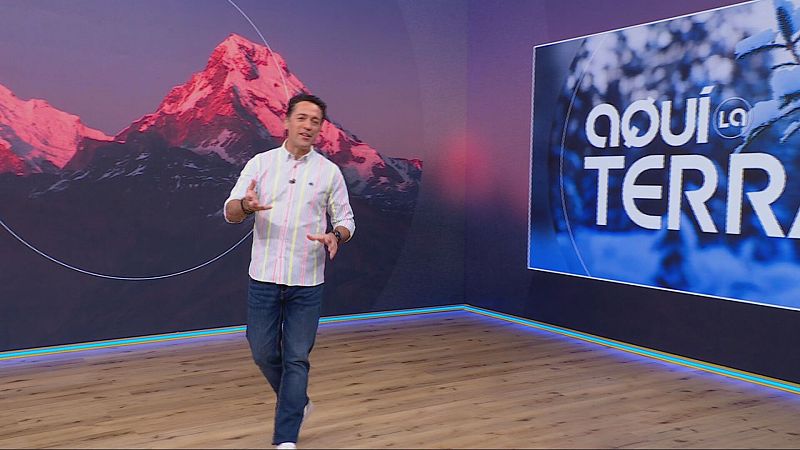 El Zoo, fusteria i aliments fermentats - Aqu� la Terra - Aqu� la Terra | Veure