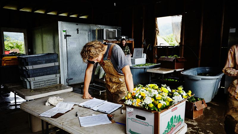 Dificultad para acceder a las tierras y a financiación: causas de la falta de relevo general en el campo | Ver