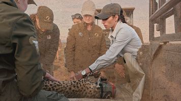 Investigar para conservar: cuando la salud animal anticipa el futuro de los ecosistemas