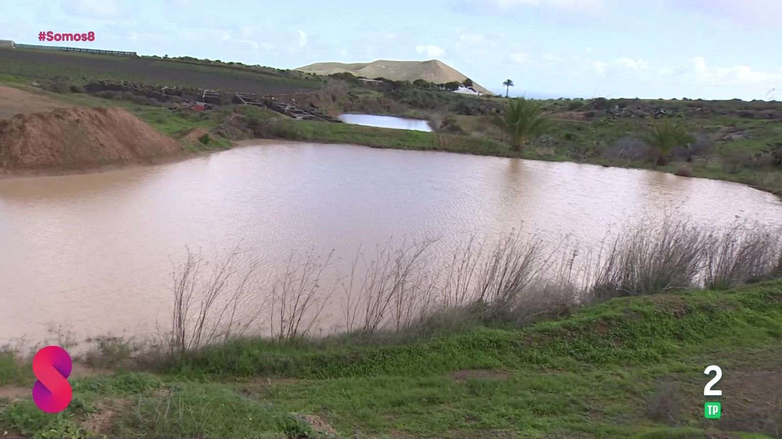 Somos 8 - 14/01/2026 - Somos 8 | Ver