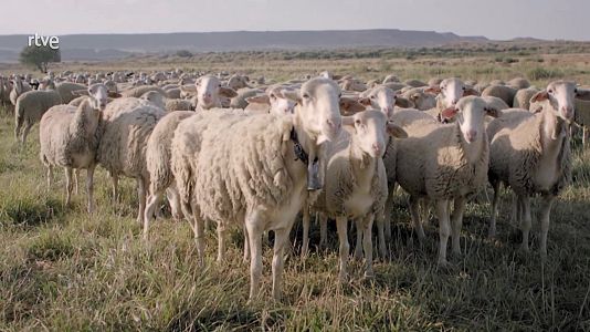 La mujer en el mundo rural