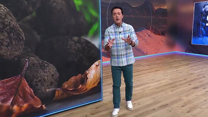 Aquí la Terra - Tòfona, plantes medicinals i bombons