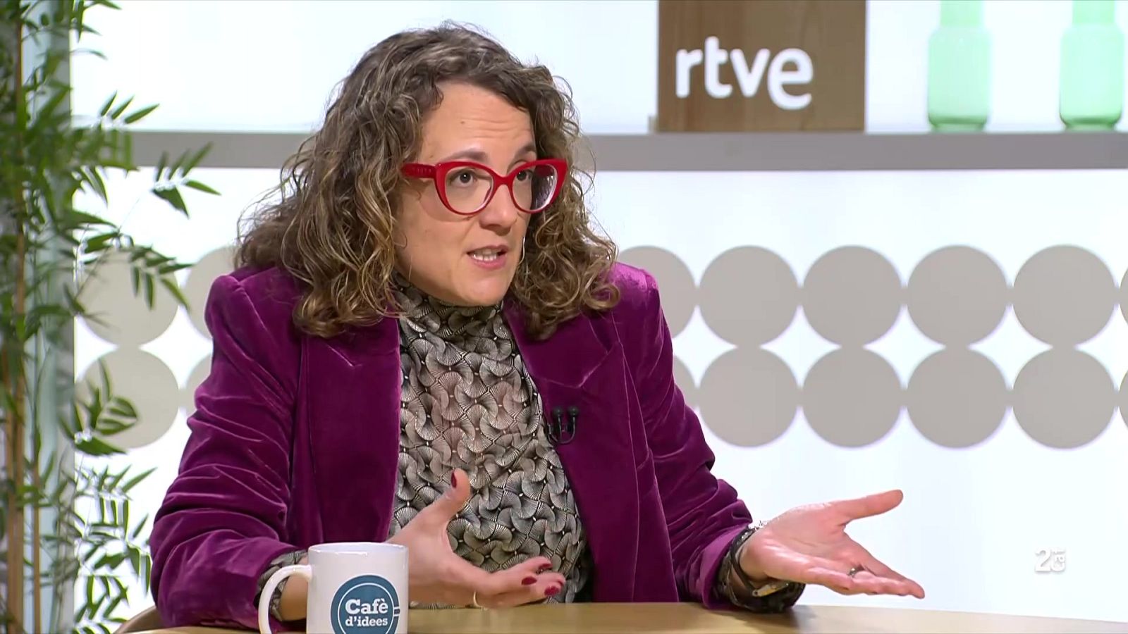 Tània Verge anuncia que deixa l'escó al Parlament