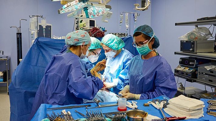 Telenorte - País Vasco - Euskadi registra un aumento del 10% en la tasa de donación de órganos