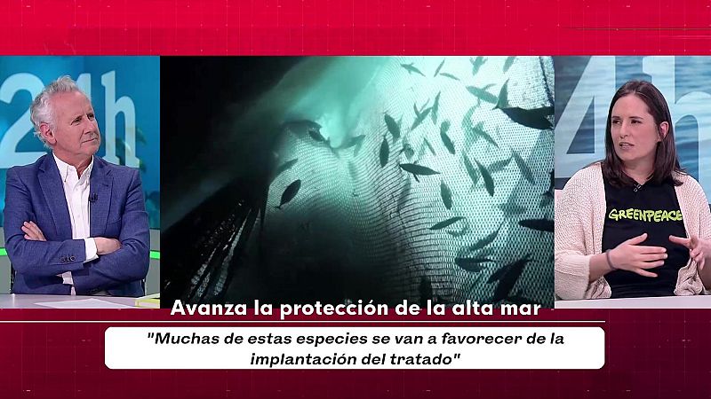 Objetivo Planeta - Avanza la protecci�n de la alta mar - Objetivo Planeta | Ver