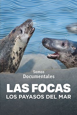 Las focas: los payasos del mar