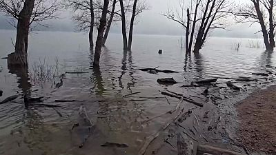 Formatge, vidre bufat i conserves en art