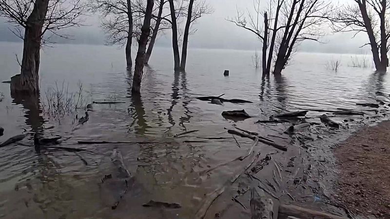 Formatge, vidre bufat i conserves en art - Aqu� la Terra - Aqu� la Terra | Veure