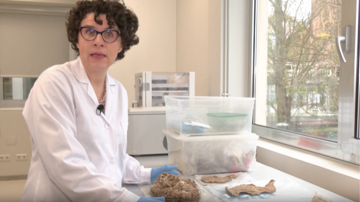 Aquí la Tierra - ¿Qué esconde un nido de quebrantahuesos?