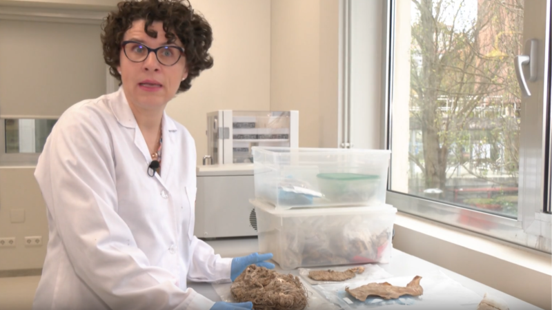 ¿Qué esconde un nido de quebrantahuesos? - Aquí la Tierra | Ver