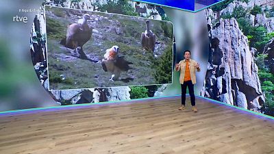 Aquí la Tierra - 16/01/26