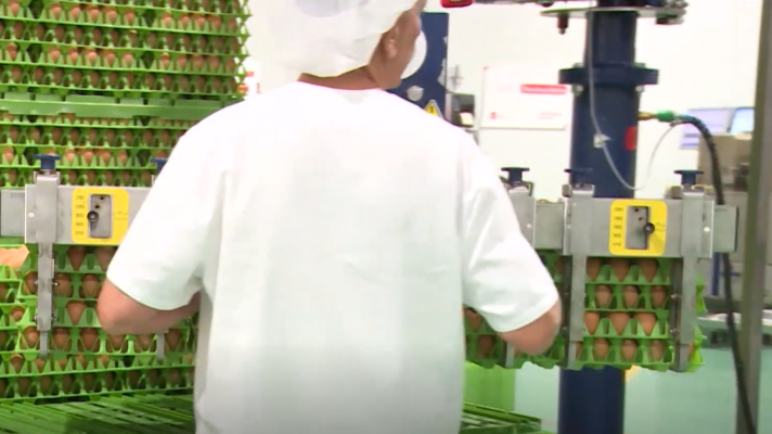 Telediario Fin de Semana - La cuesta de enero se hace más empinada en 2026, con la subida de precio de los huevos como protagonista