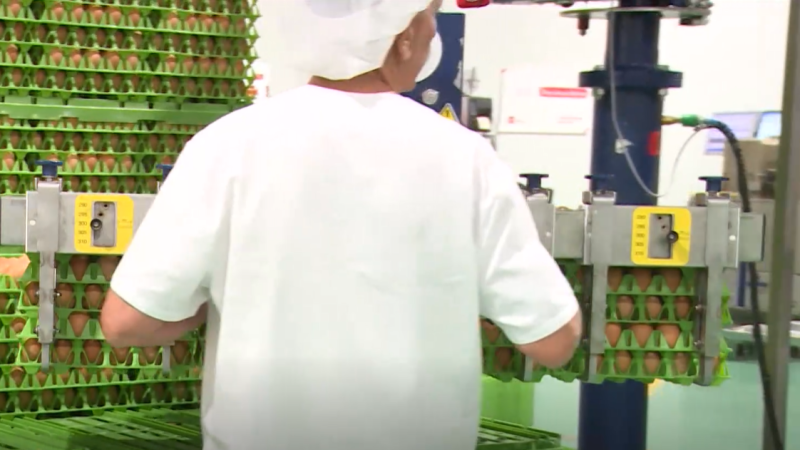 La cuesta de enero se hace más empinada en 2026. - Telediario Fin de Semana | Ver