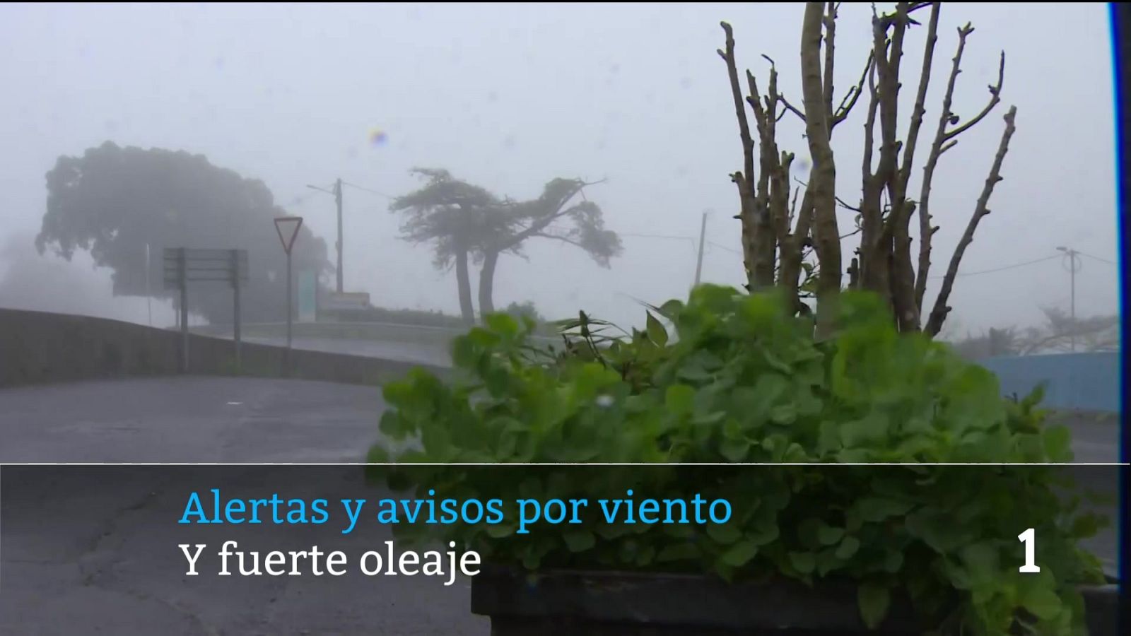 Telecanarias - 18/01/2026