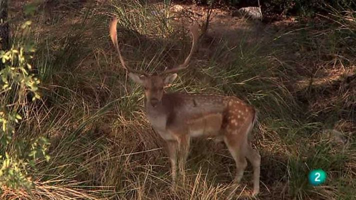 Biodiario - Biodiario - 13/02/13