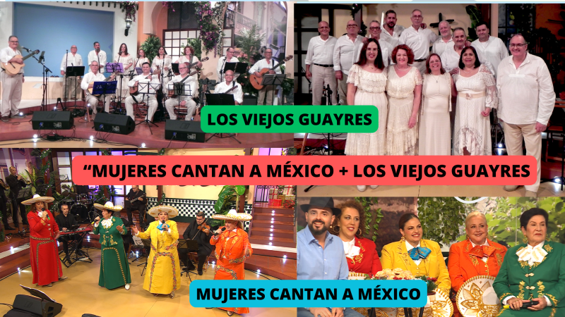 Tenderete - 18/01/2026