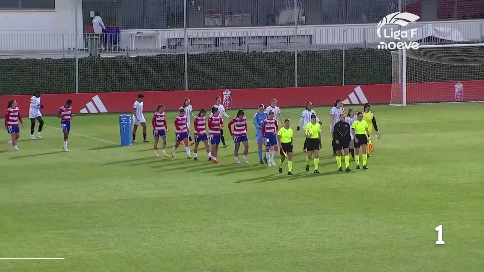 Telerioja en 2' - 19/01/26 | Ver