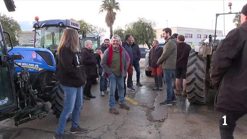 Tractors a Reus per exigir les compensacions pels avellaners arrencats