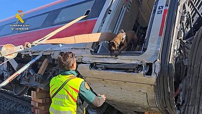 La Guardia Civil ha mostrado las primeras im�genes del interior de uno de los trenes involucrados en el accidente ferroviario de Adamuz que est�n siendo rastreados con perros del Servicio Cinol�gico