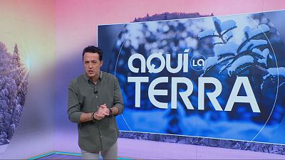 Açai, ceràmica i un bon xató