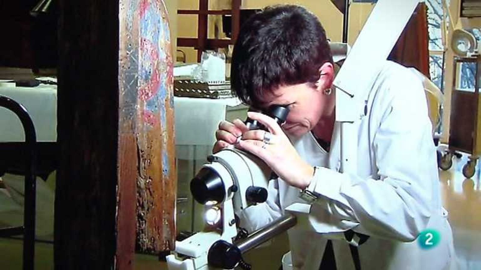 La aventura del saber - 14/02/13 - ver ahora