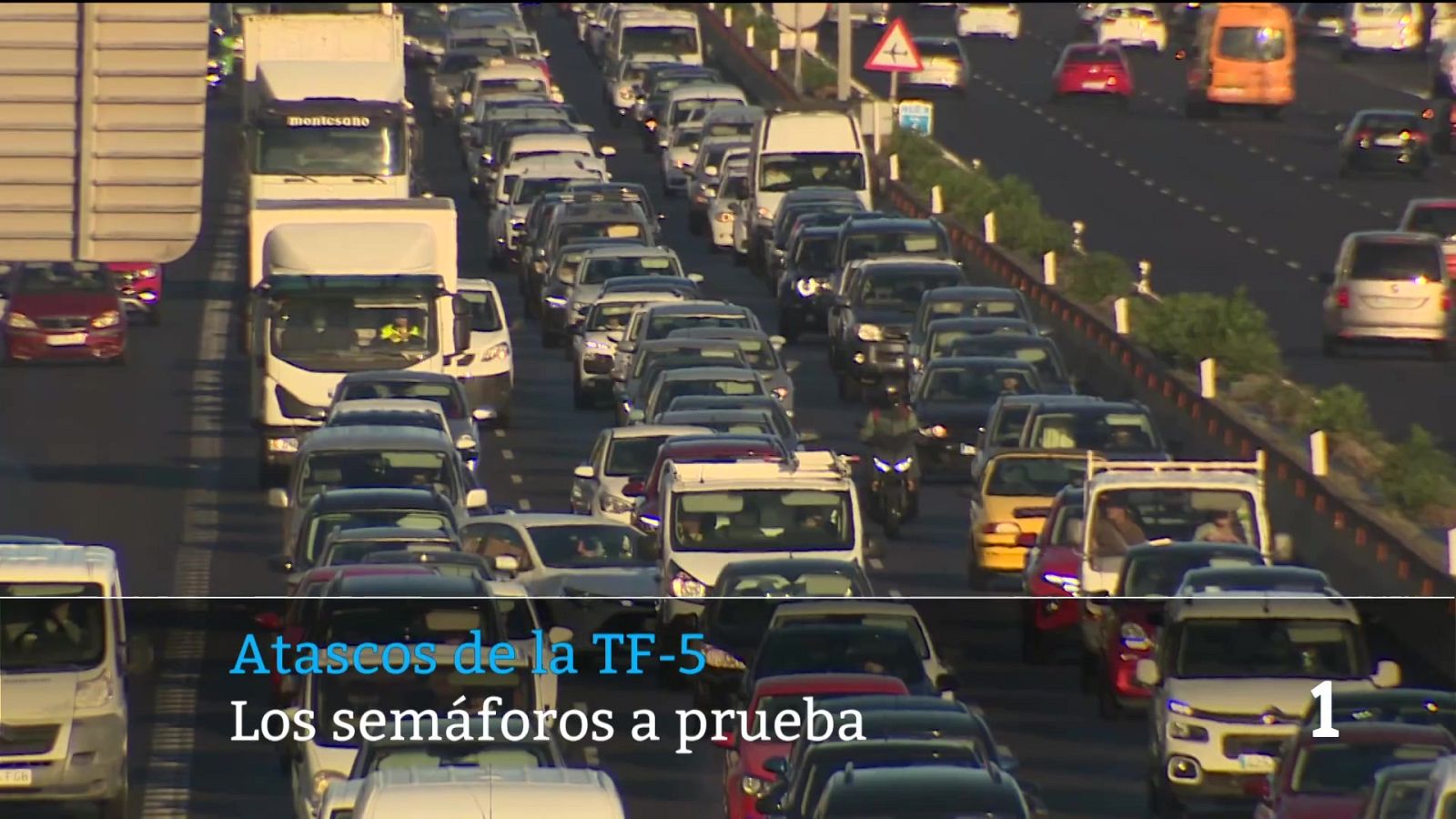 Telecanarias - 21/01/2026 | Ver