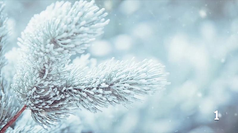 El temps a les Illes Balears - 21/01/26 | Ver