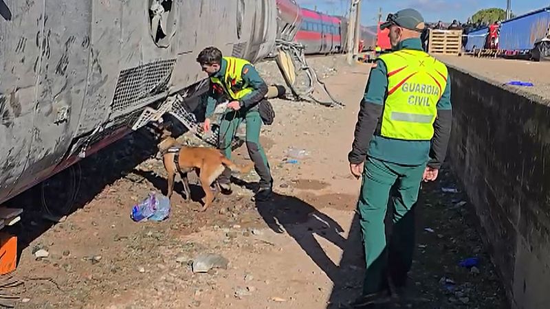Dos de los primeros salvadores en la tragedia de Adamuz