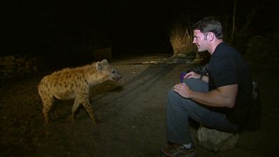 Fauna letal - Episodio 1: Etiop�a - Fauna letal | Ver