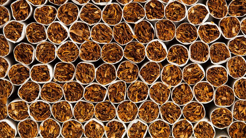 Una fábrica ilegal de tabaco de tres millones de euros - Mañaneros 360 | Ver