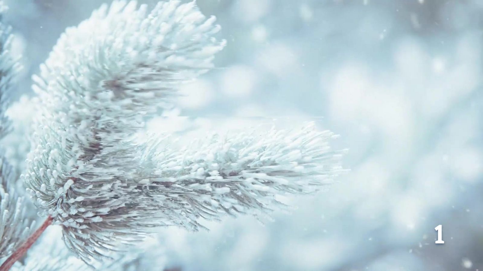 El Tiempo en la Región de Murcia - 22/01/2026 | Ver