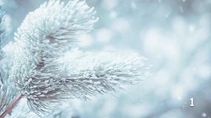 El Tiempo en la Regi�n de Murcia - 22/01/2026 | Ver