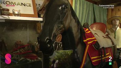 Somos 8 - 22/01/2026