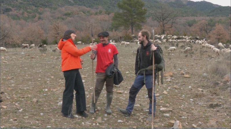 Pastores de emergencia para sustituir a los ganaderos de vacaciones - Aquí la Tierra | Ver