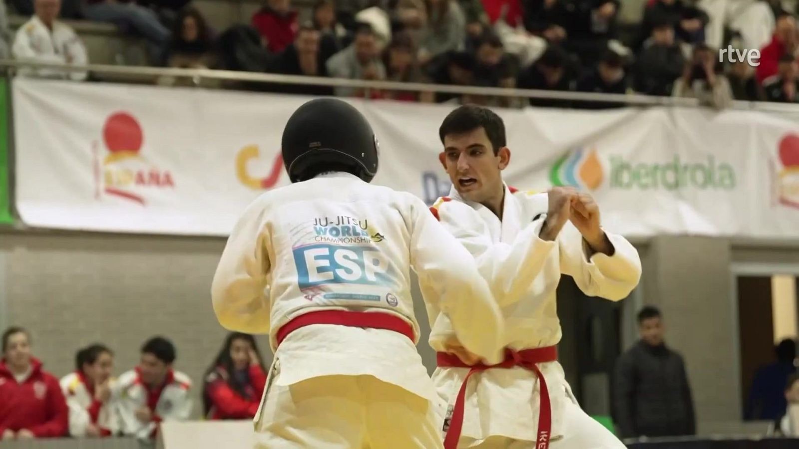 Jiu Jitsu - Campeonato de España Senior - Judo | Ver