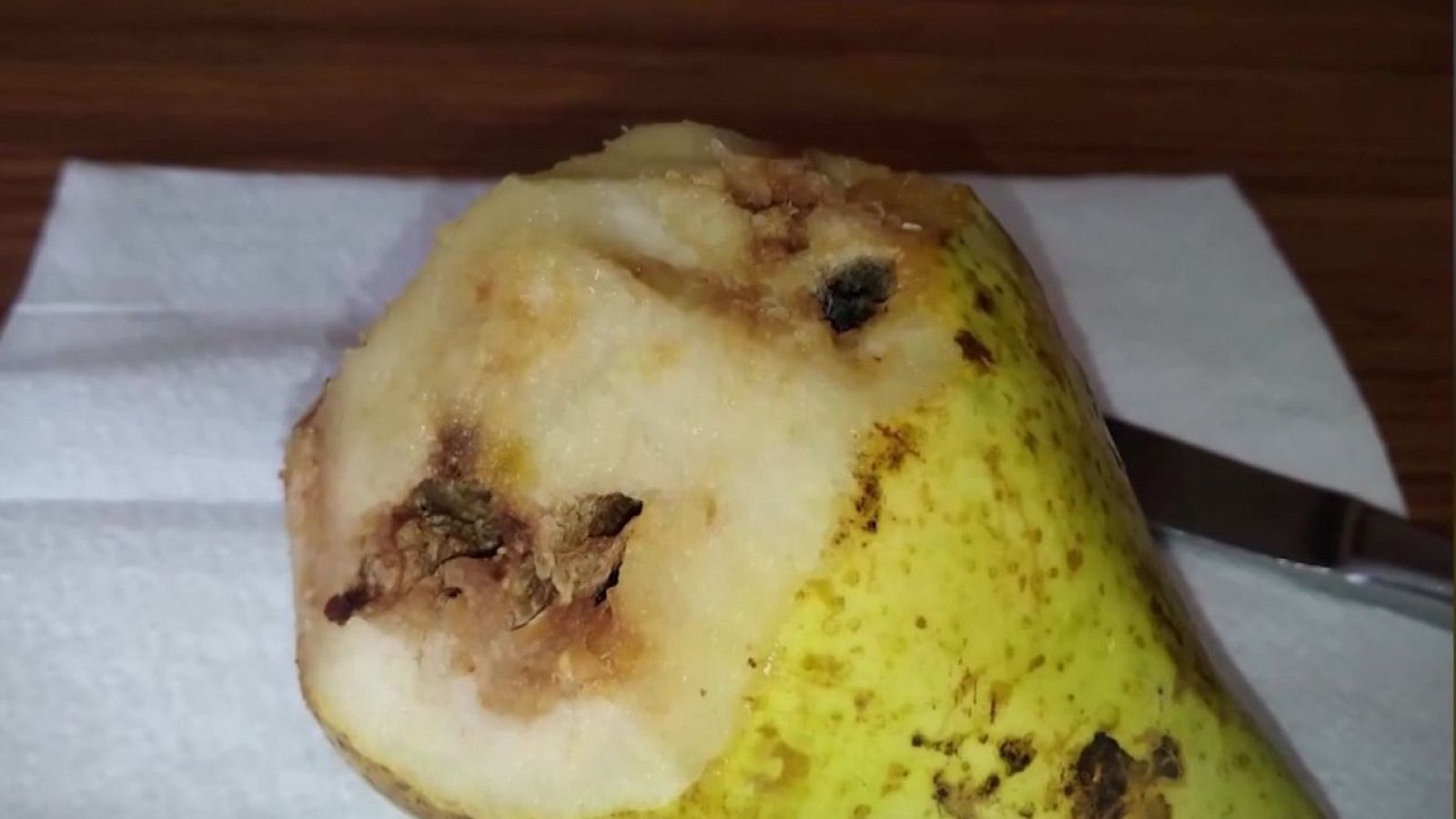 "No nos dan de comer en la residencia" - Mañaneros 360 | Ver