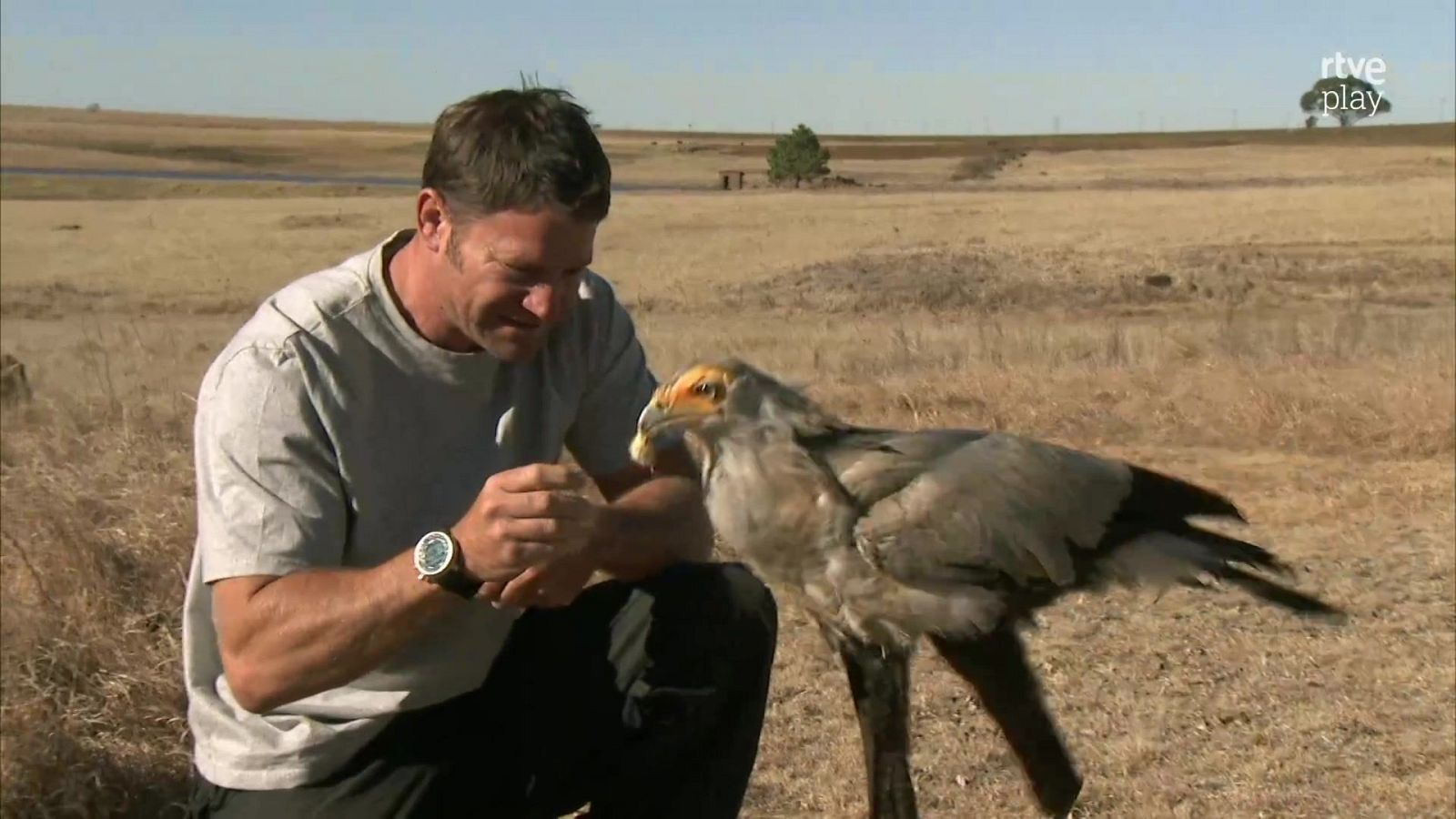 Fauna letal - Episodio 3: Sudáfrica 1 - Fauna letal | Ver