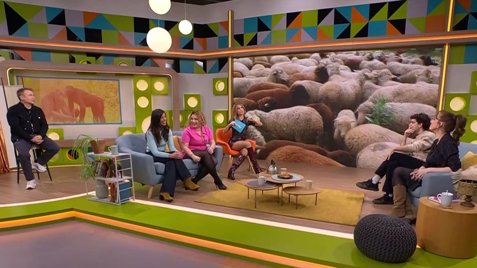 Deficiències pisos HPO, pedrera Seva i animals gais - L'Altaveu - L'altaveu | Veure