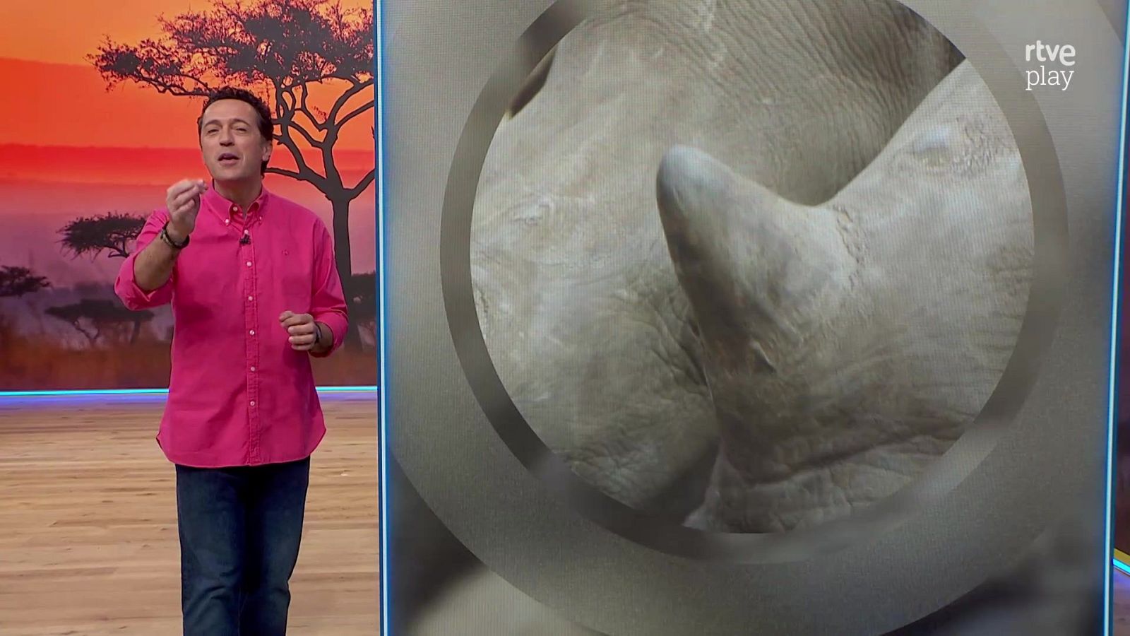 Aquí la Tierra - 23/01/26 - Aquí la Tierra | Ver