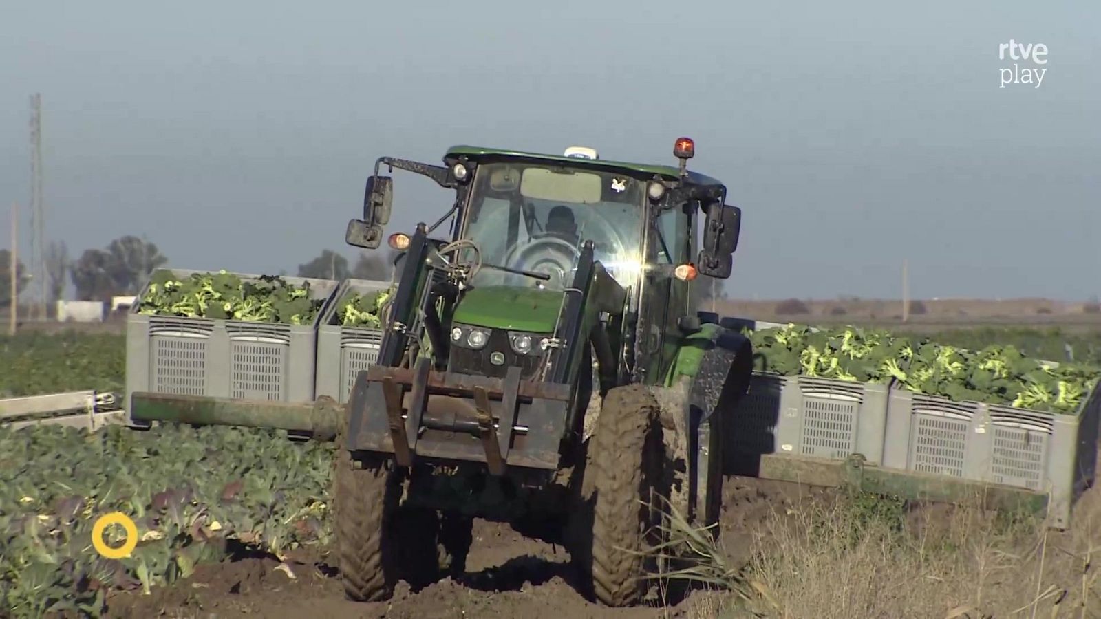 Agrosfera - 24/01/26 - Agrosfera | Ver