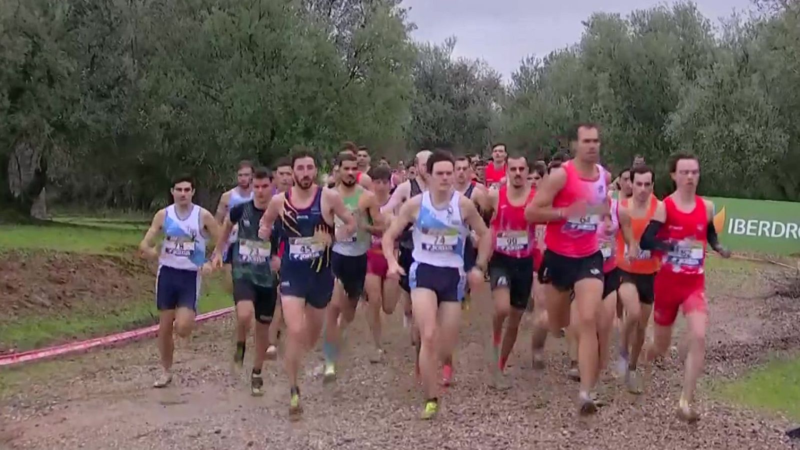 Cross - Campeonato de España Absoluto Masculino - Cross | Ver